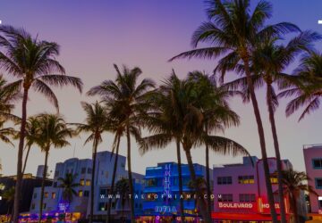 Welcome to the TalkofMiami.com! Your Ultimate Miami Survival Guide!
